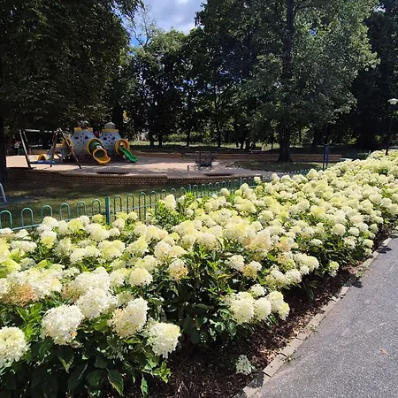 Towarowa Nature Apartment, Free Parking, Air-conditioning, Self Check-in 24h *